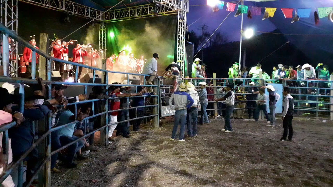 Santa Maria Sola(TORO CAMPEON) 02/09/2019 vaya magnitud de jaripeo!!!!