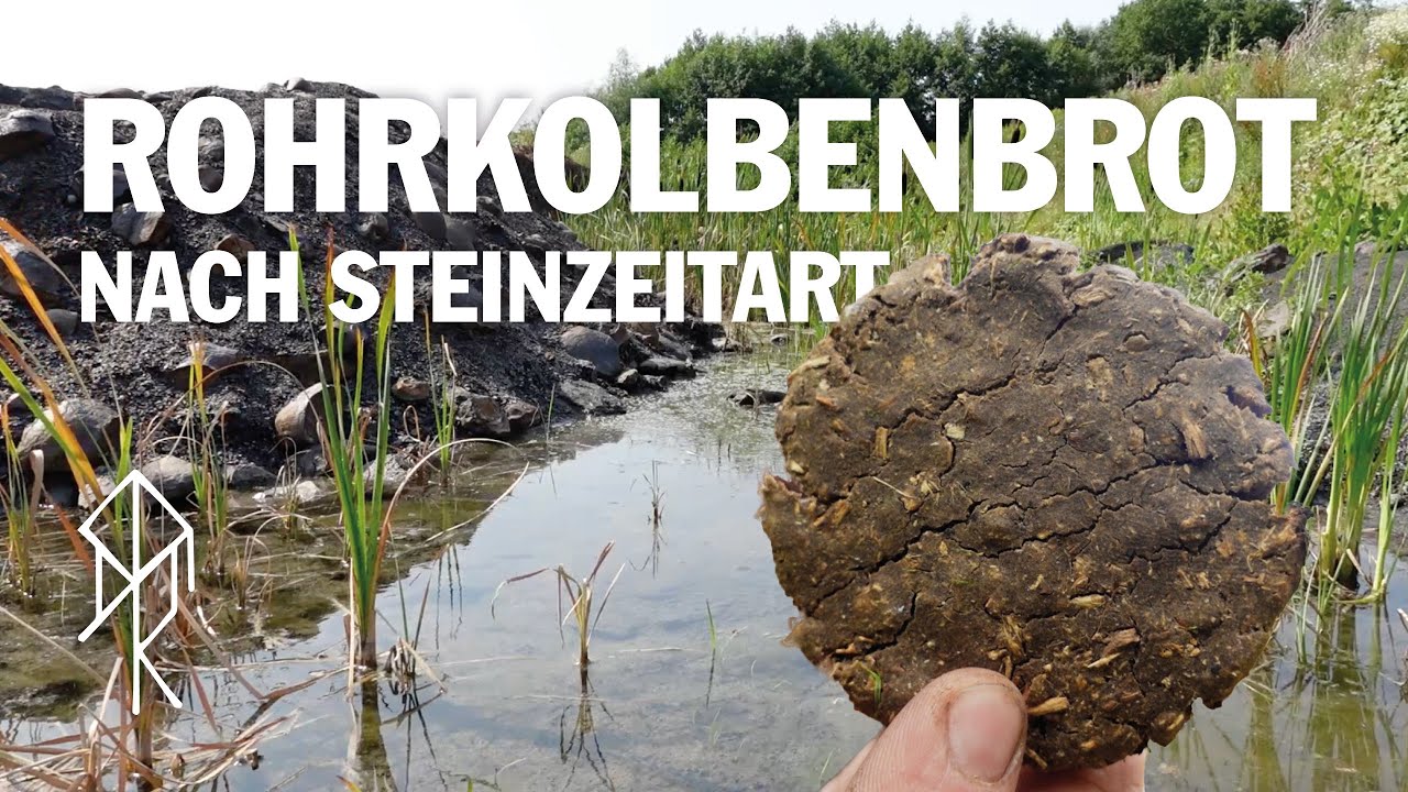 Das Rohrkolben Brot - Nahrung aus der Steinzeit | Bushcraft | Survival | Urviech