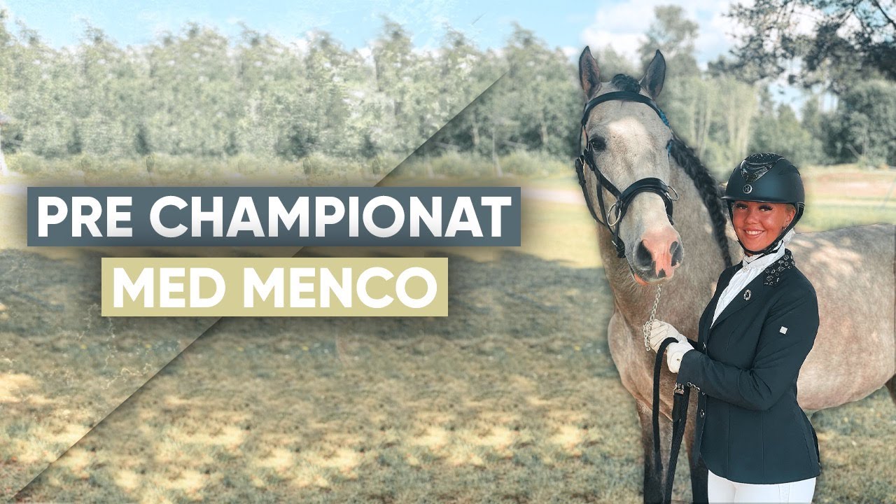 TÄVLINGSVLOGG | P.R.E Championat med Flamenco