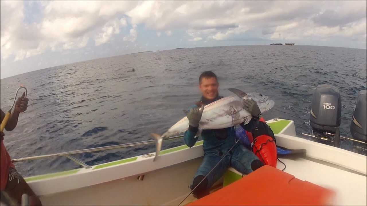 SPEARFISHING TRIP OUVEA MOTU PLEAIDE DU NORD 2.wmv