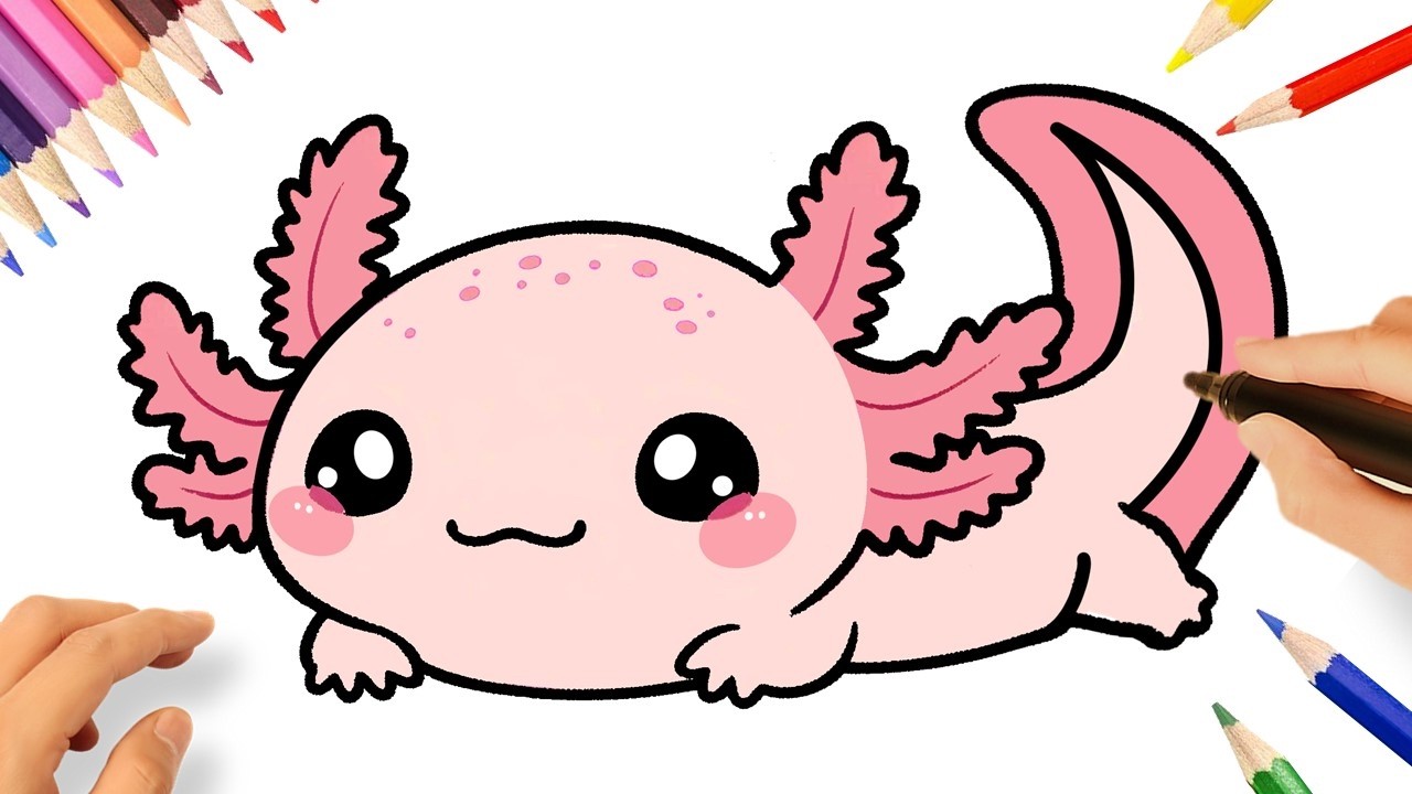 COMMENT DESSINER UN AXOLOTL KAWAII
