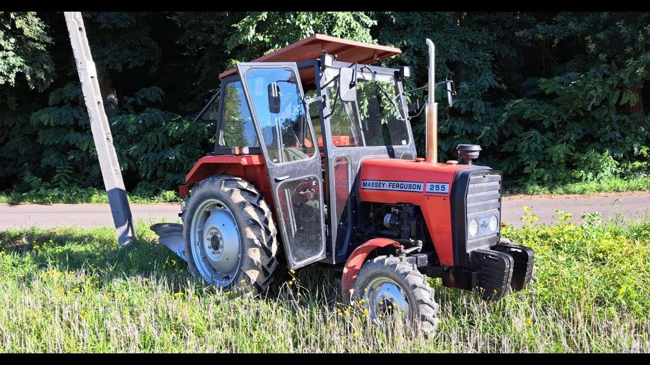 Podorywka po życie 2022 mf 255.