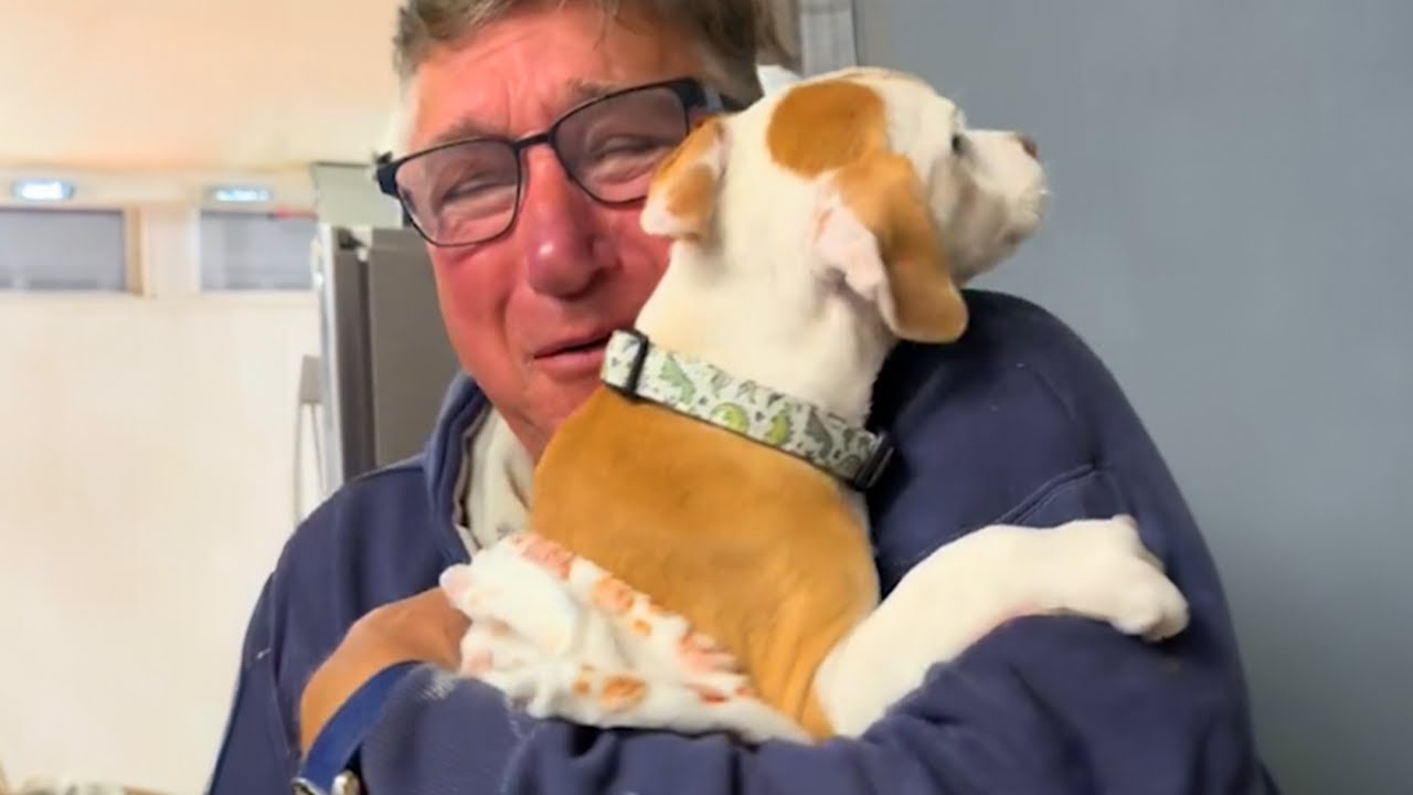 Surprising parents with their dream dog 🐶 Puppy Surprise 2024!