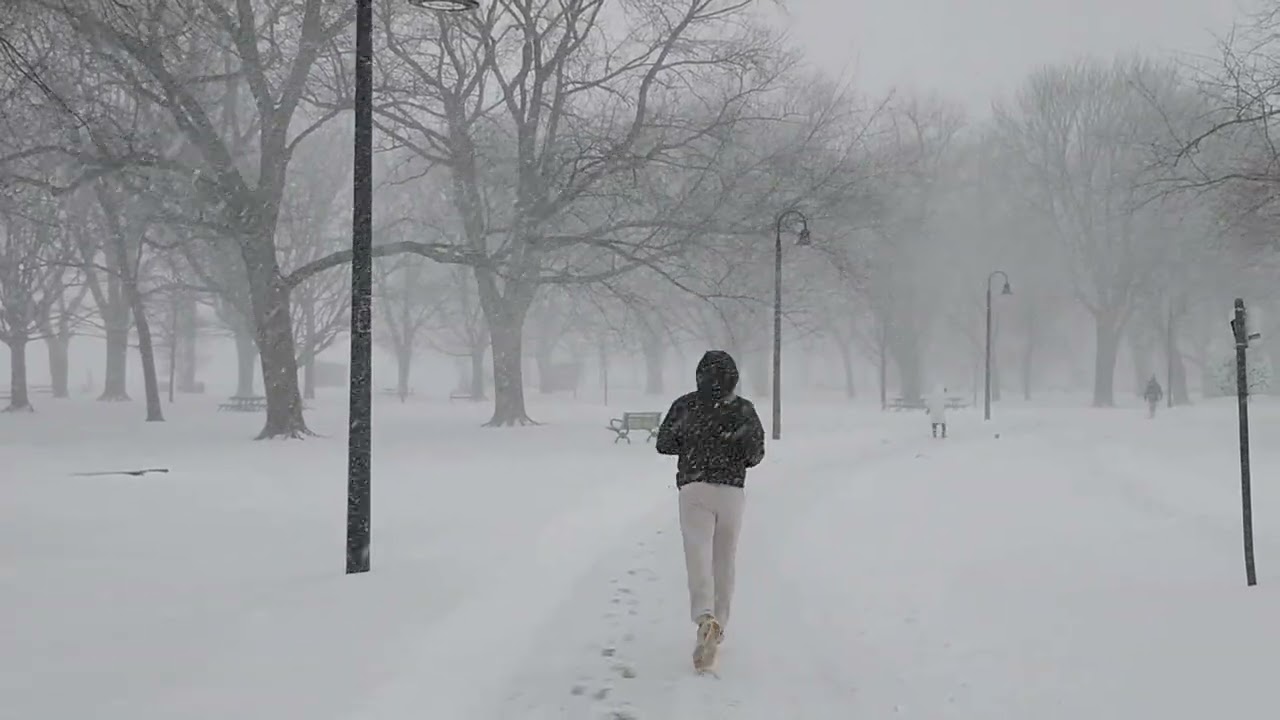 #toronto #coronationpark #snow