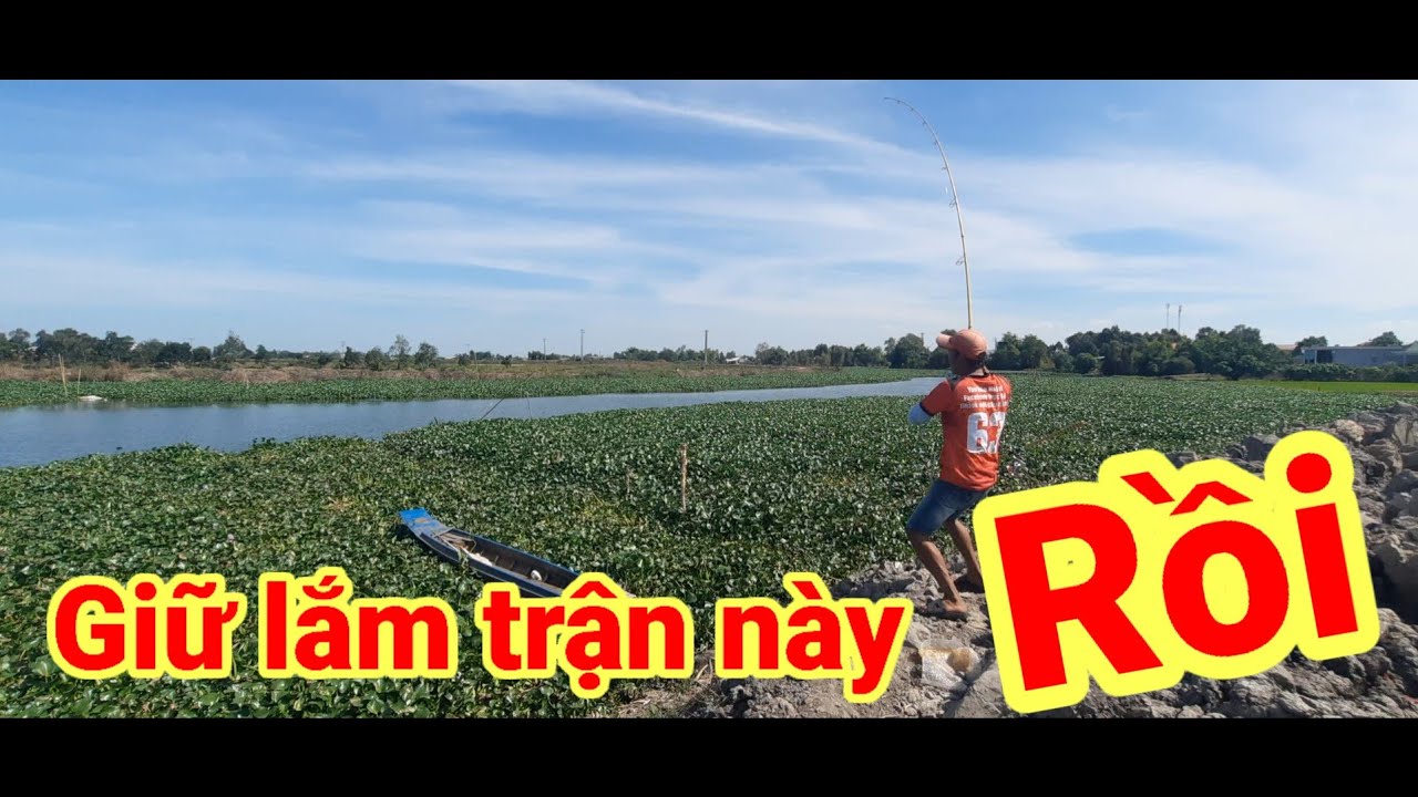 Câu cá tra sông // ĐẦU năm đi khai cần mà trúng mánh bây cá khủng cá ăn liên tục thấy mê quá