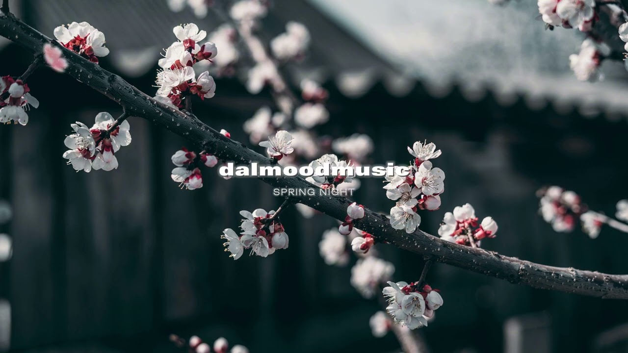 [Playlist] 고요한 봄 밤 독서 플리🌙 | Spring Night Acoustic 🌙 | Calm Music for Reading