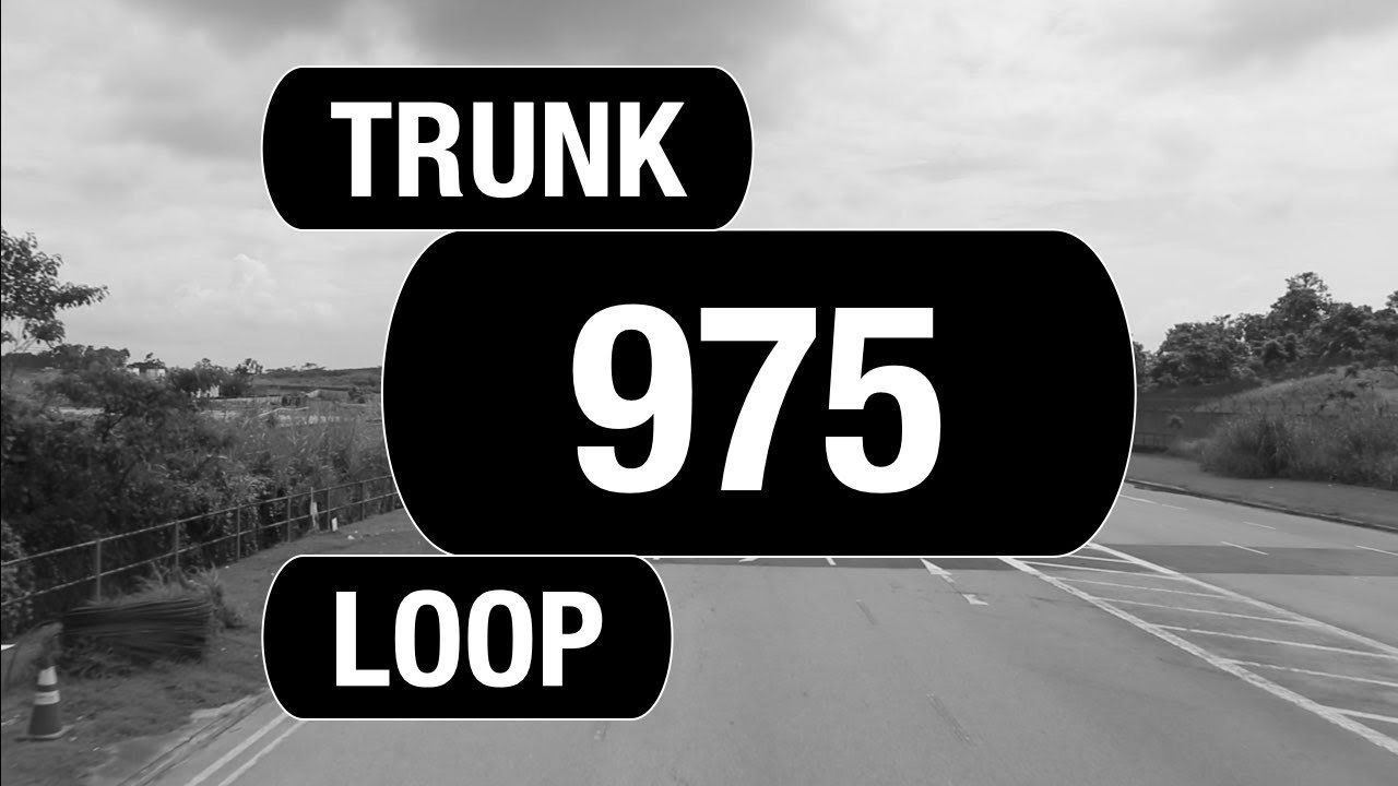 SMRT Buses Trunk 975 (BFTP 2022) | Bus Service Route Visual