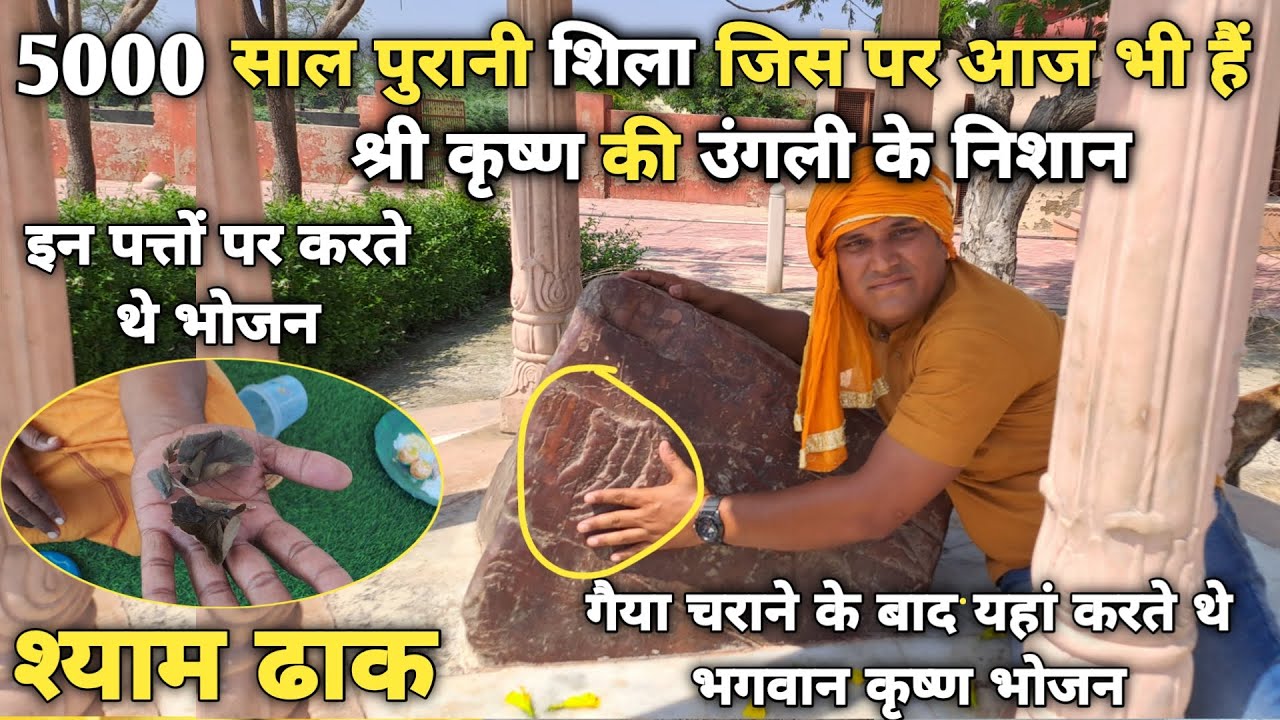 श्याम ढाक:5000 साल पहले कैसे कदम्ब के पत्ते बने भगवान कृष्ण के लिए पात्र ||braj darpan|| 2022
