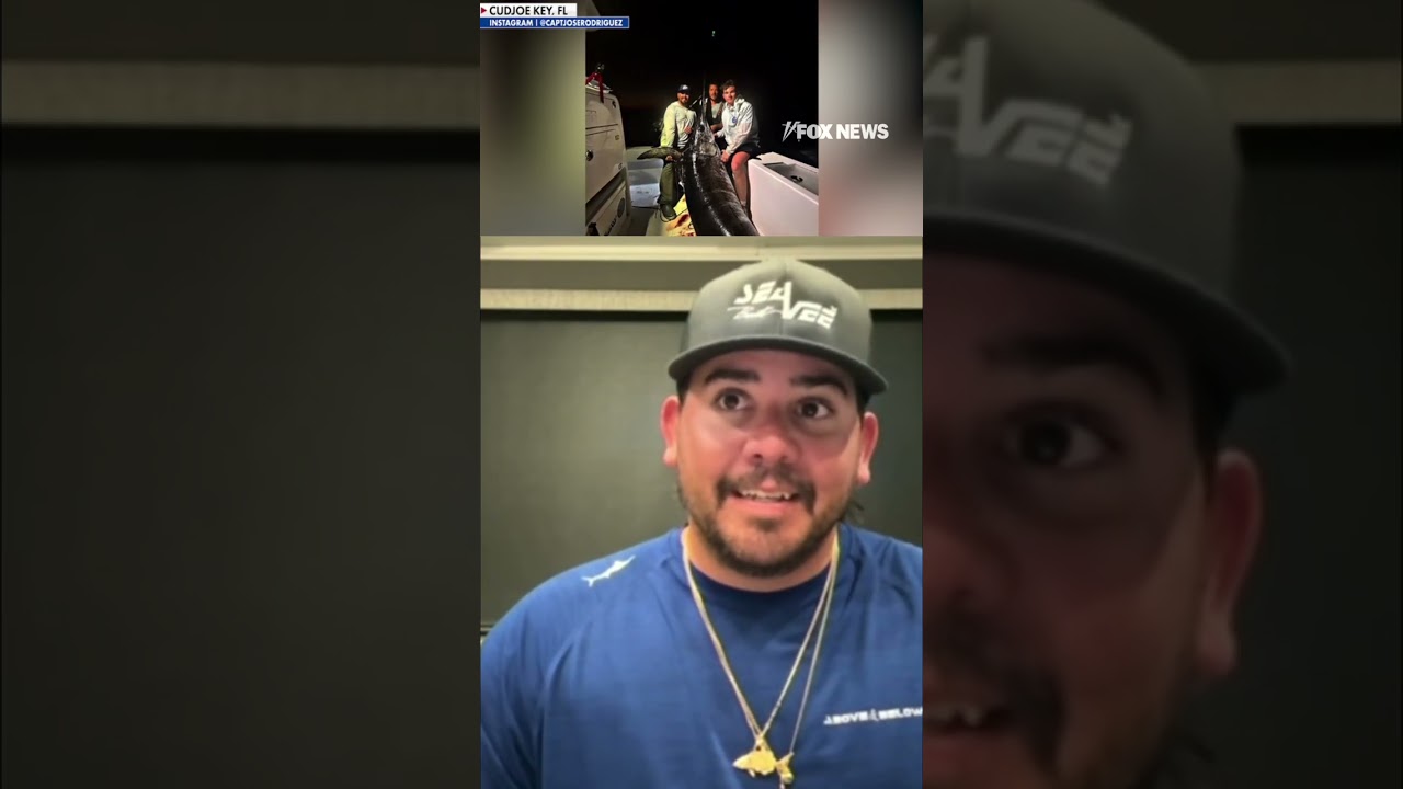 Florida fishing captain lands 480-pound 'MONSTER' #shorts #us #news #foxnews #fishing