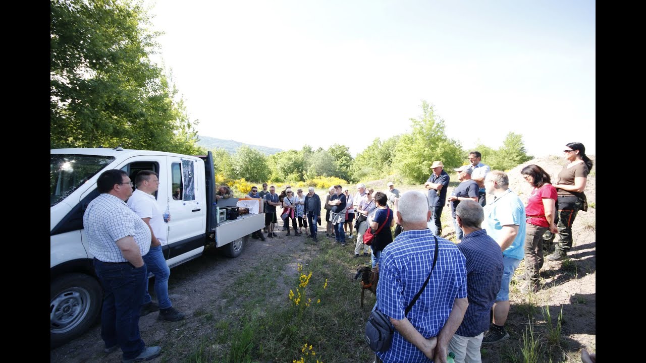 Rammelsbach Photovoltaik-Anlagenplanung auf dem Rammelsbacher Kopf