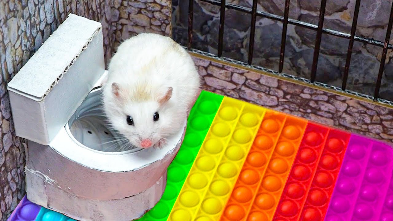 Hamster Pop It Maze - Escape In Real Life
