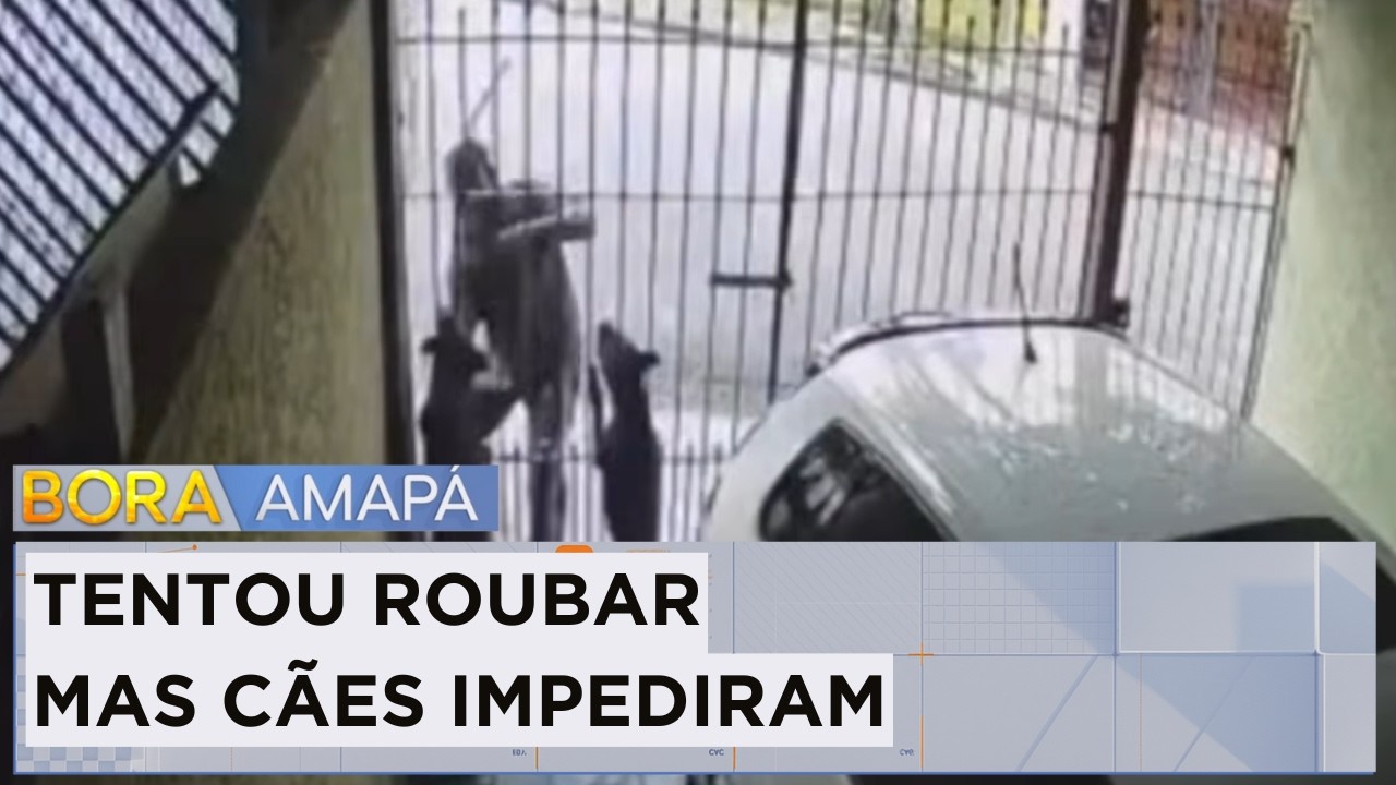 Homem é surpreendido por cachorro após tentar roubar casa e ainda reclamou com o dono