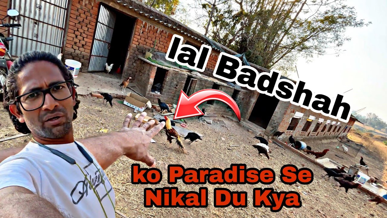 Kya Lal Badshah Aur Kallu Ko paradise Se Nikal Du ?