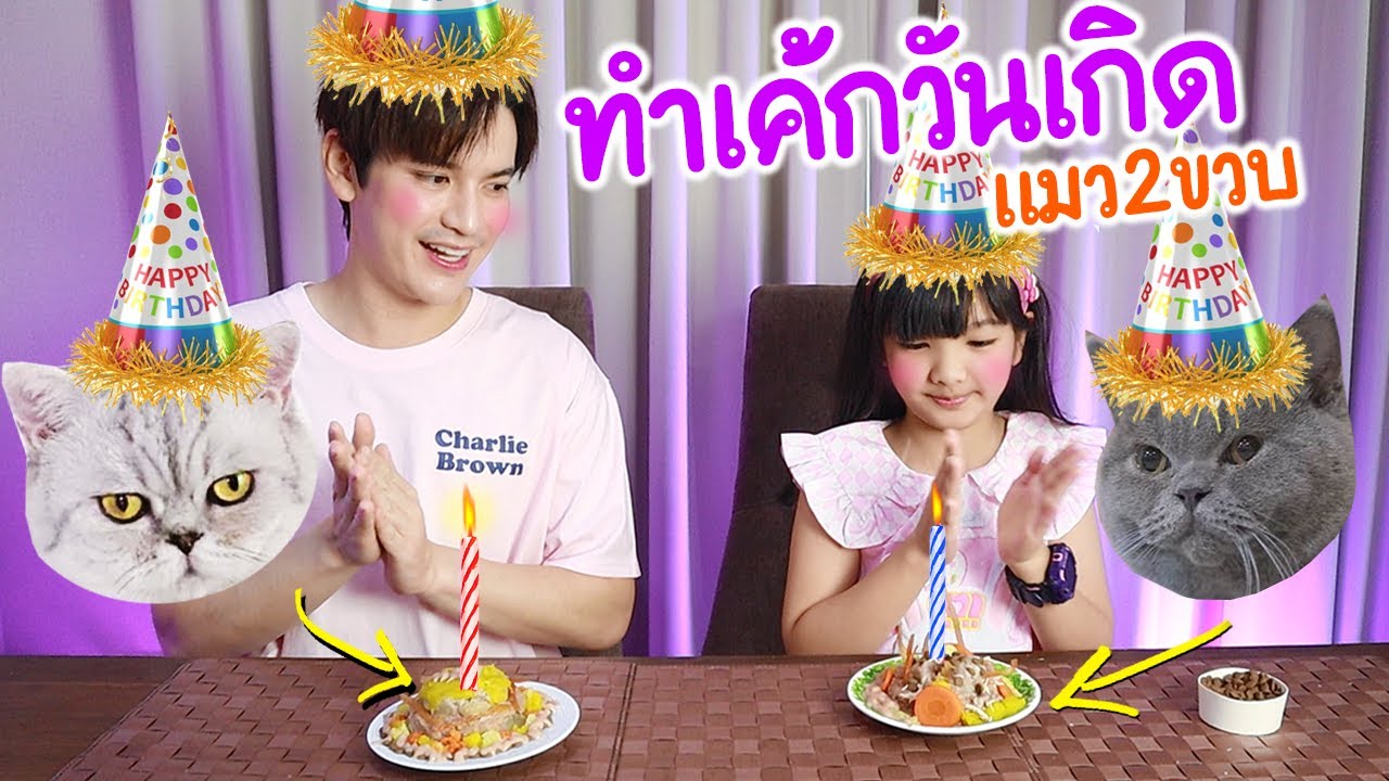 ทำเค้กฉลองวันเกิดให้น้องแมว!!! | เตอร์ติดเต๋า EP.04
