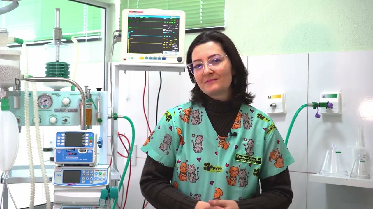 Anestesia e sedação de cães e gatos