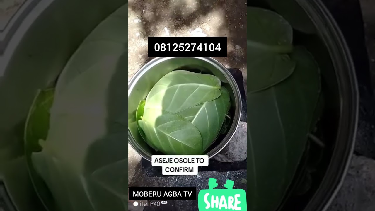 ASEJE OSHOLE OWO TODAJU