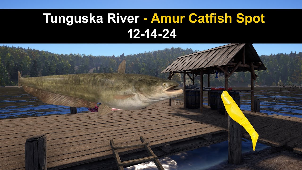Russian Fishing 4,   Tunguska River - Amur Catfish Spot 12-14-24