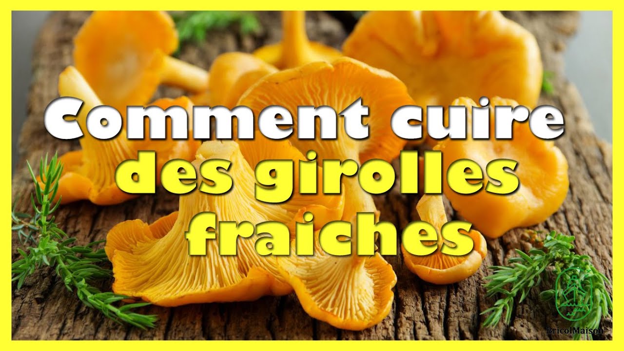 Comment faire cuire des girolles fraiches facilement