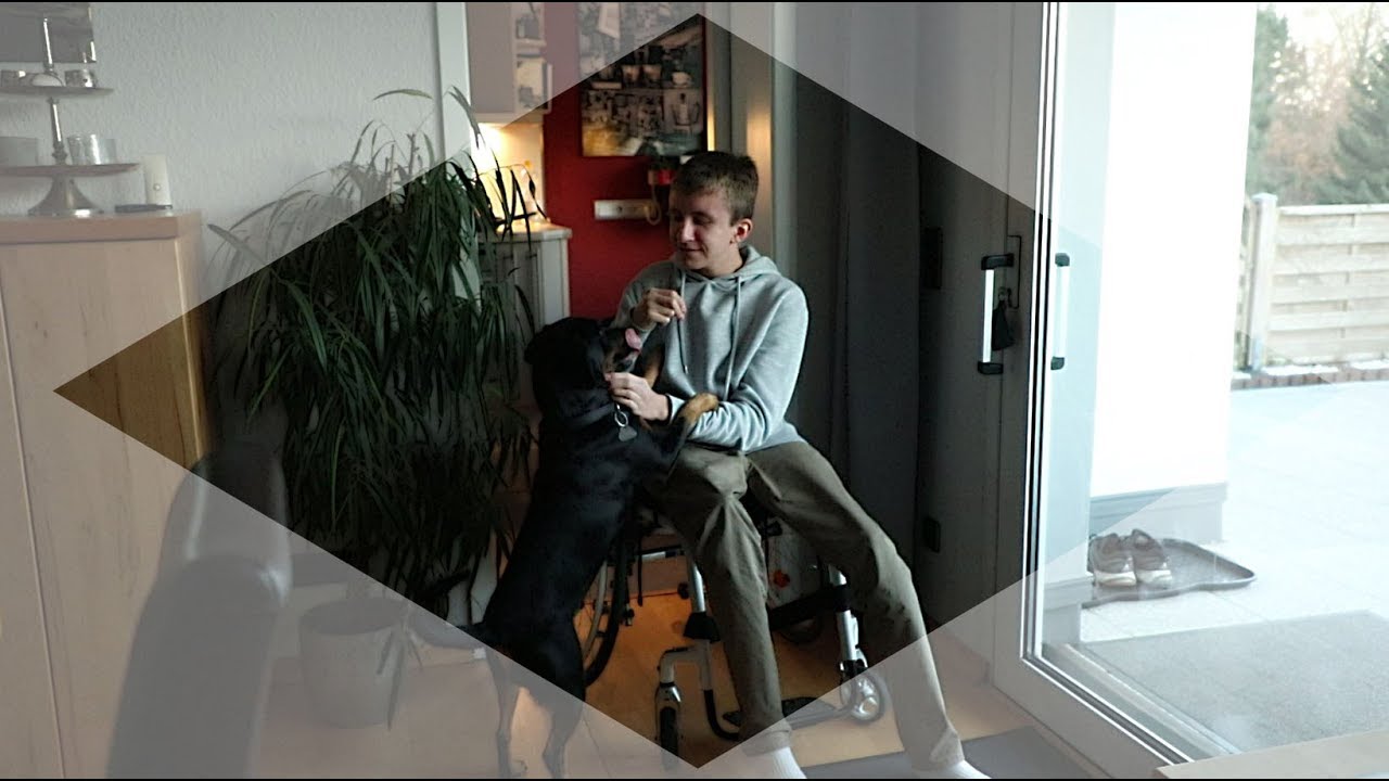 Wenn Knochen brechen wie Glas