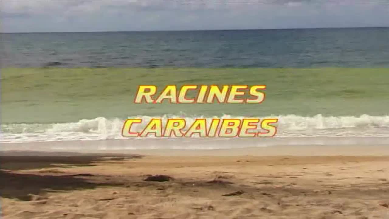 Malavoi - Racines Caraïbes - (Documentaire)