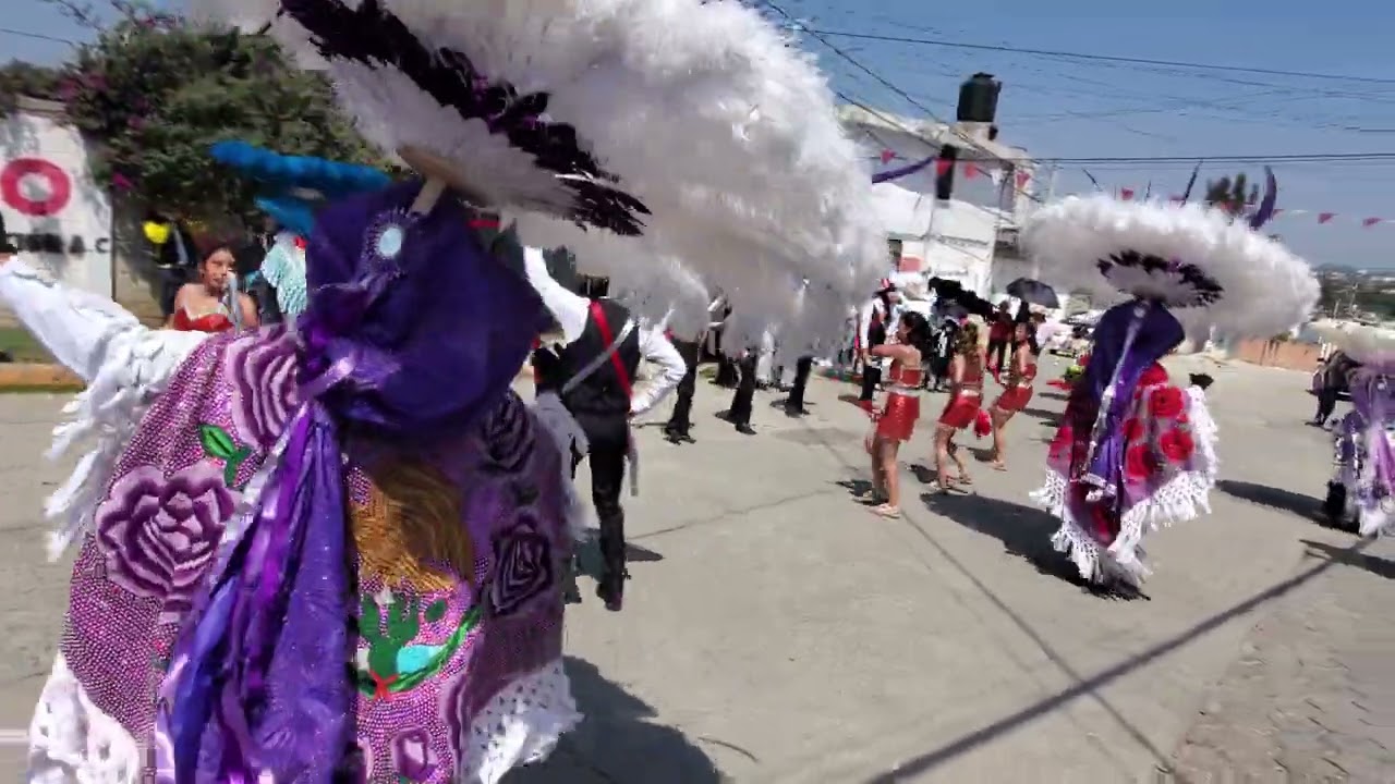 Carnaval de San Lorenzo Almecatla 2024