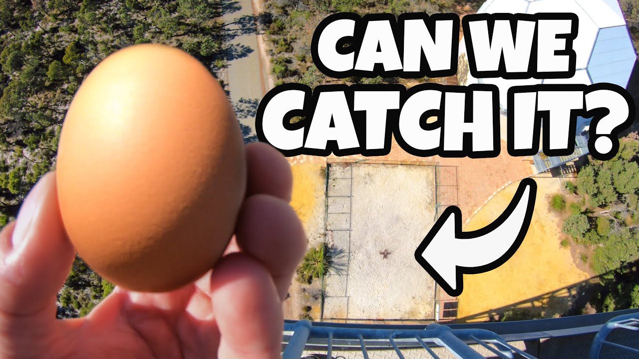 How High Can You Catch an Egg?