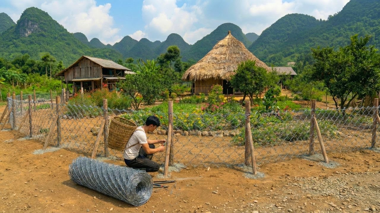 Building a Steel Fence Covering Thousands of Square Meters Around the Farm to Protect the Livestock