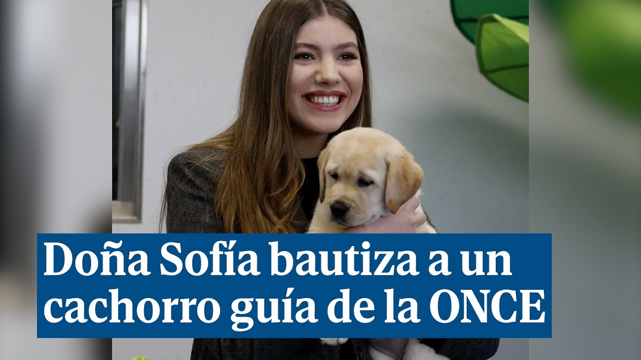 ONA, el nombre con el que la Infanta Sofía ha bautizado a uno de los cachorros guía de la ONCE