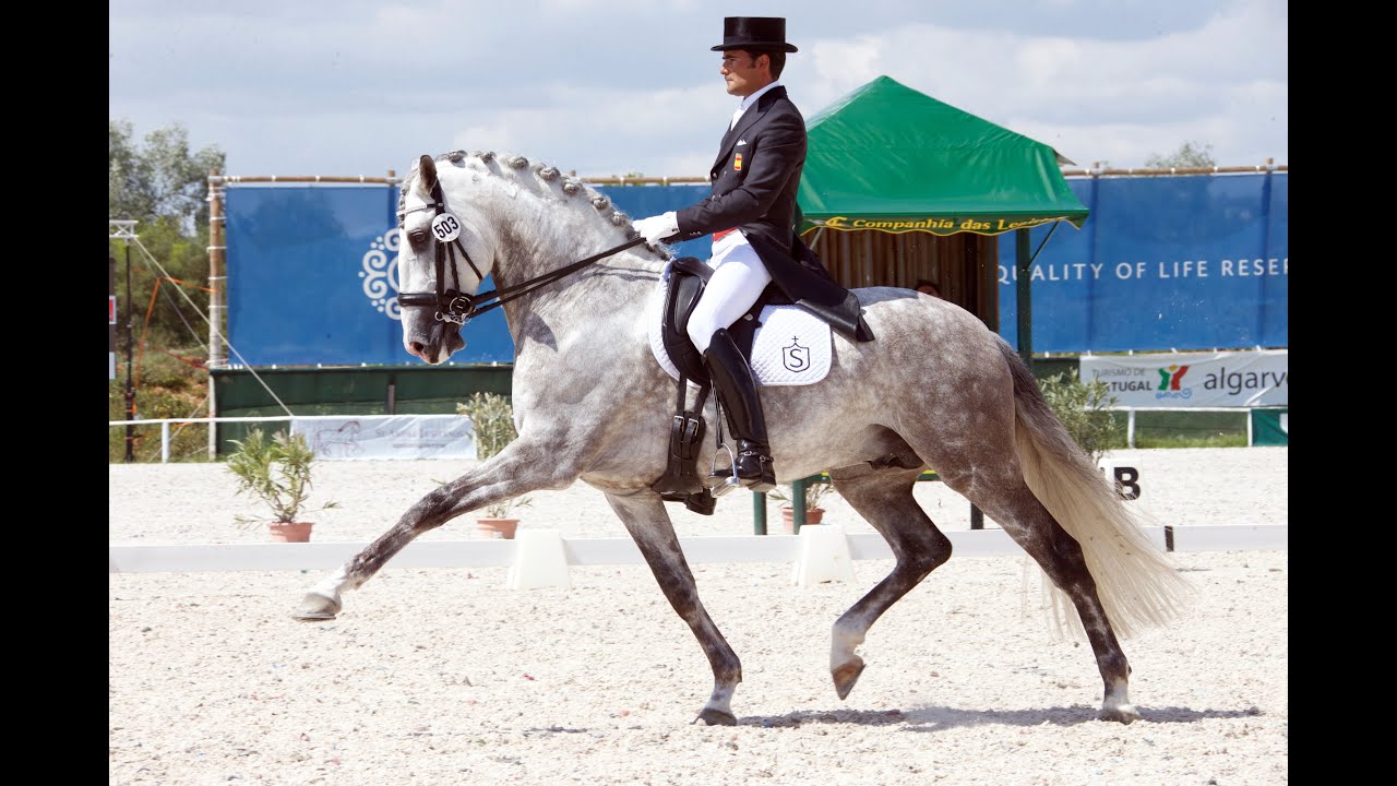 Jose Antonio Garcia Mena & Dragão das Figueiras 100415 ST Georges Vilamoura CDI 3* 2015