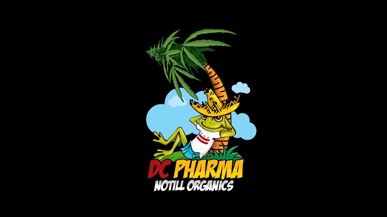 Cannabis going mainstream Come Sesh with us as we kick off the second season