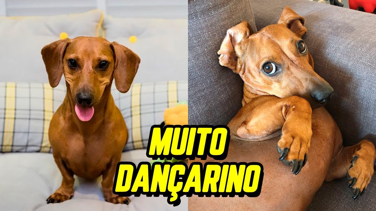 Uma habilidade do BENEDITO | Londrinando