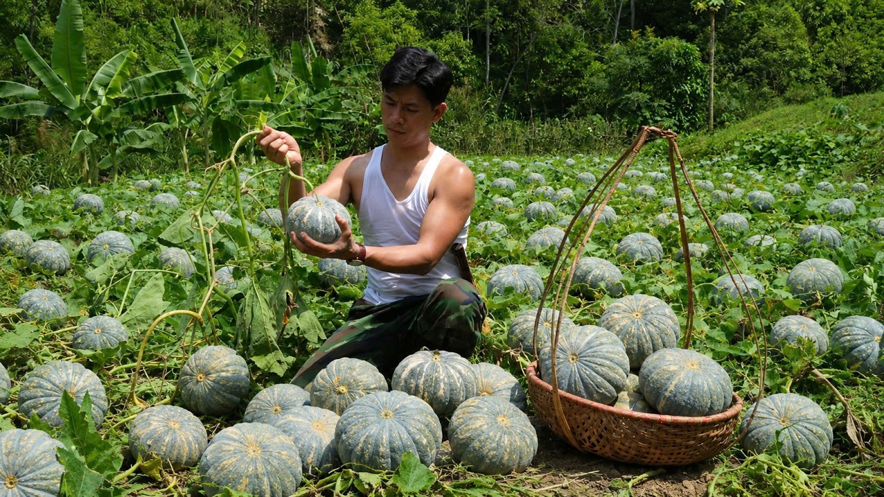This is a traditional pumpkin variety &ndash; its seeds have been preserved for generations.