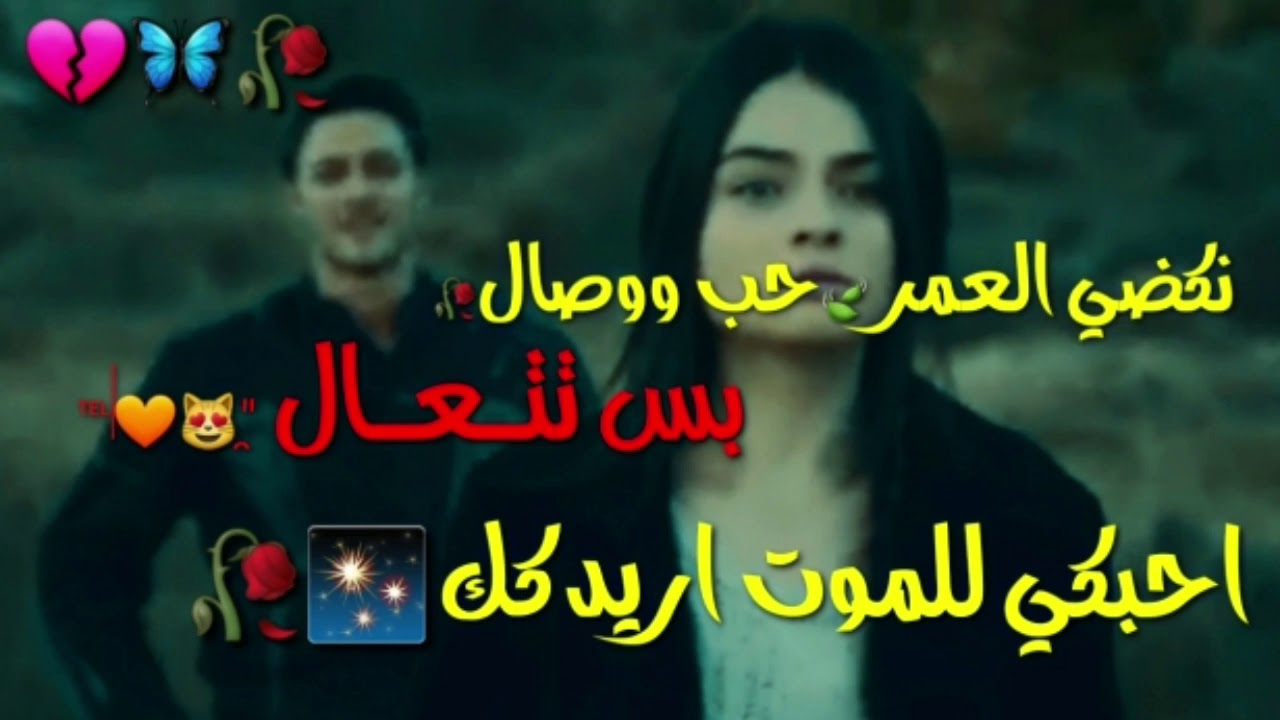 عايدة ونزار/اول لقاء..حالات واتساب✨🥀(يفوتكم🦋🍃