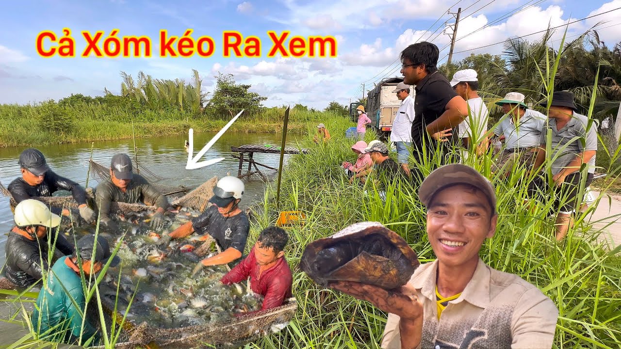 Thần Rùa Hiển Linh Thì Gặp Phải Kì Đà Chạy Về Nhà Gặp Người Dân Kéo Nhau Bắt Cá