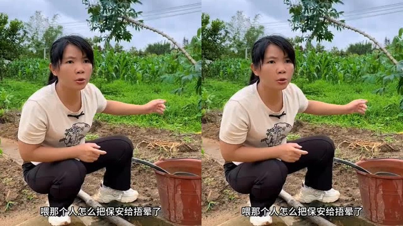 打击犯罪，正能量剧情