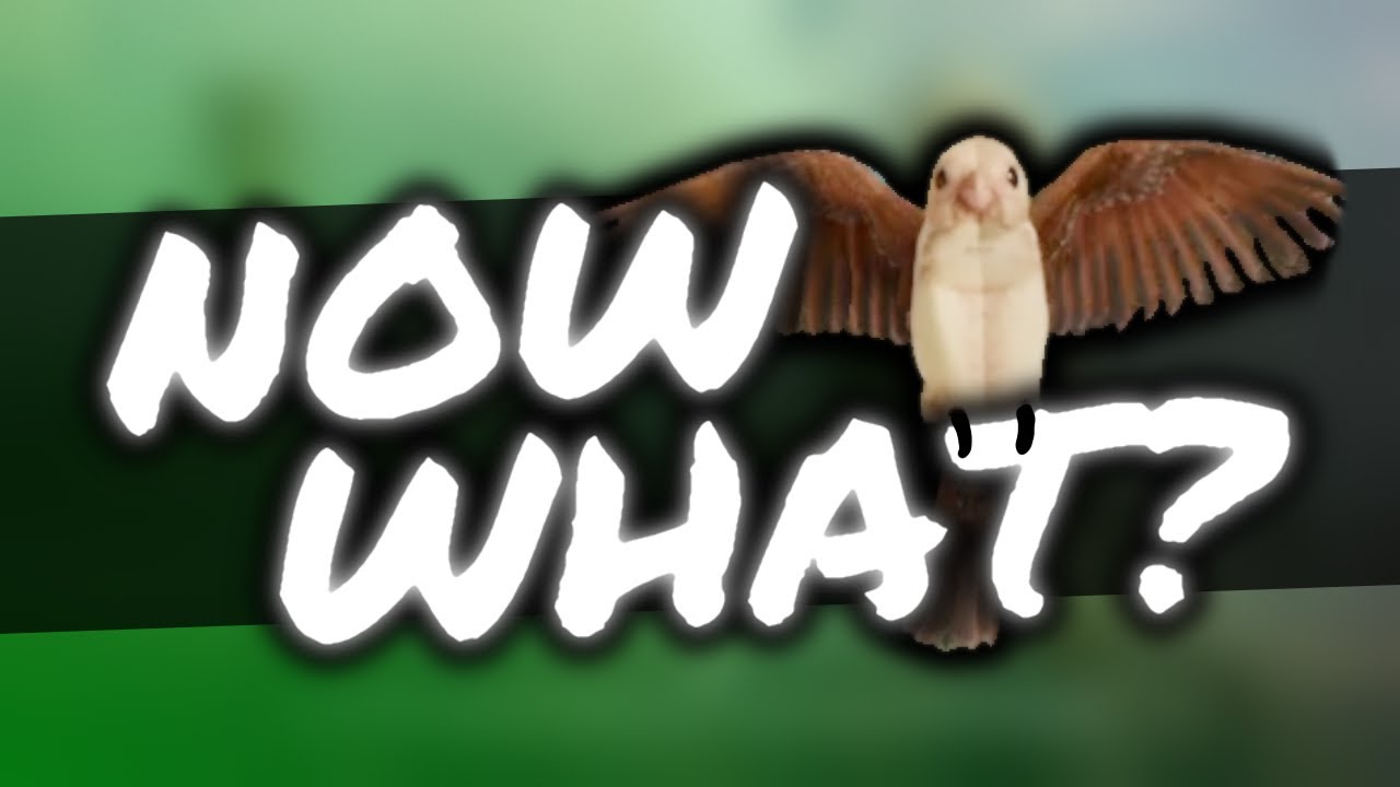 What To Do Next in Soulframe | P10 Content Guide