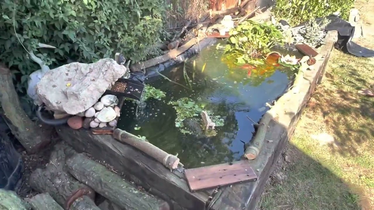 £20 fish pond waterfall installation turns into complete pond build by an absolute beginner!!