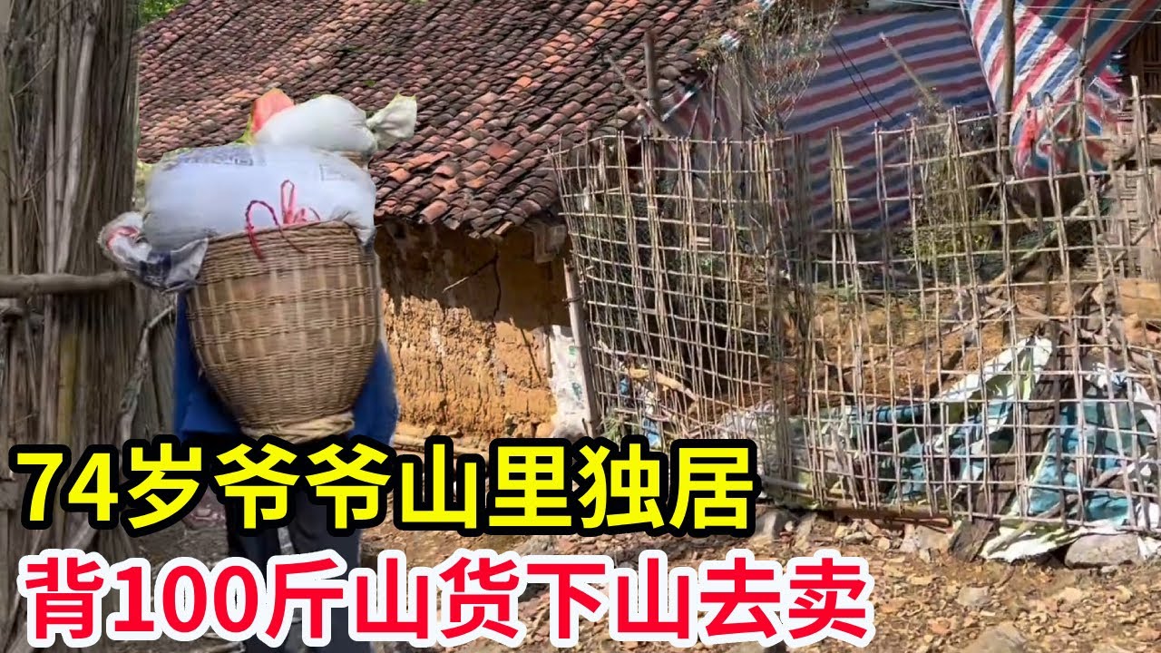 74岁爷爷独居深山，还能被100斤黄豆下山卖，一个人种上万斤玉米太厉害了【山农乐哥】