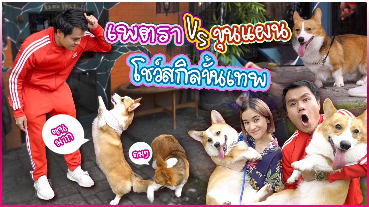 เพตรา VS ขุนแผน หมาพี่ Bie The Ska ใครจะสกิลเทพกว่ากัน? 🍊 ส้ม มารี 🍊