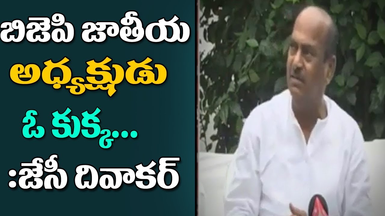 AP Special Status Row | TDP MPs Silent And Peaceful Protest In Delhi | ABN Telugu