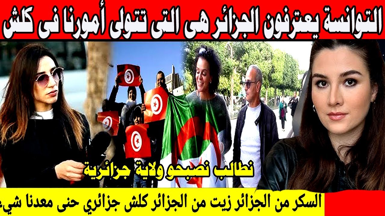 #شاهد التوانسة يعترفون الجزائر هى التى تتولى أمورنا فى كلش.. نطالب نصبحوا ولاية جزائرية