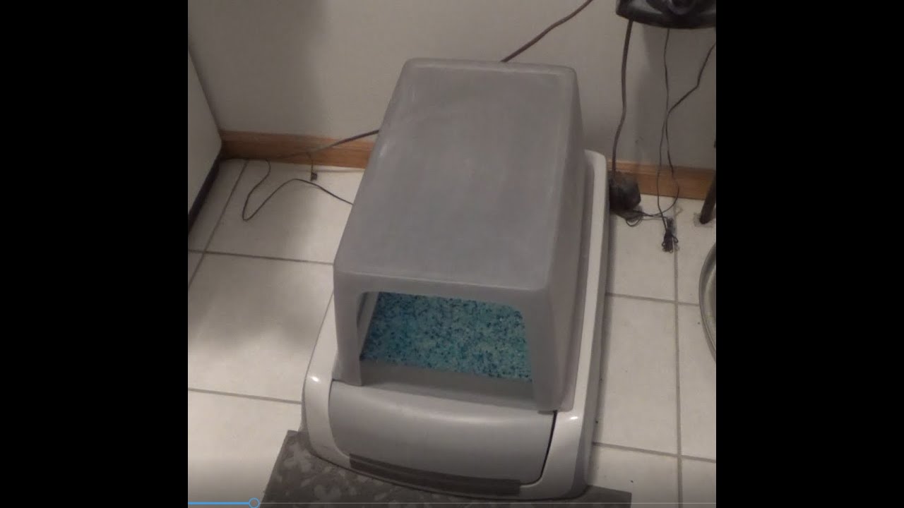 PetSafe ScoopFree Automatic Litter Box Review- Problems Solved!