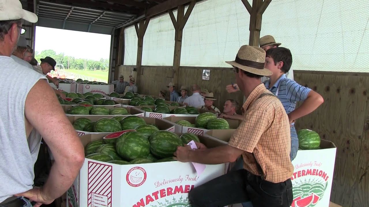 Produce Auction In Lancaster County