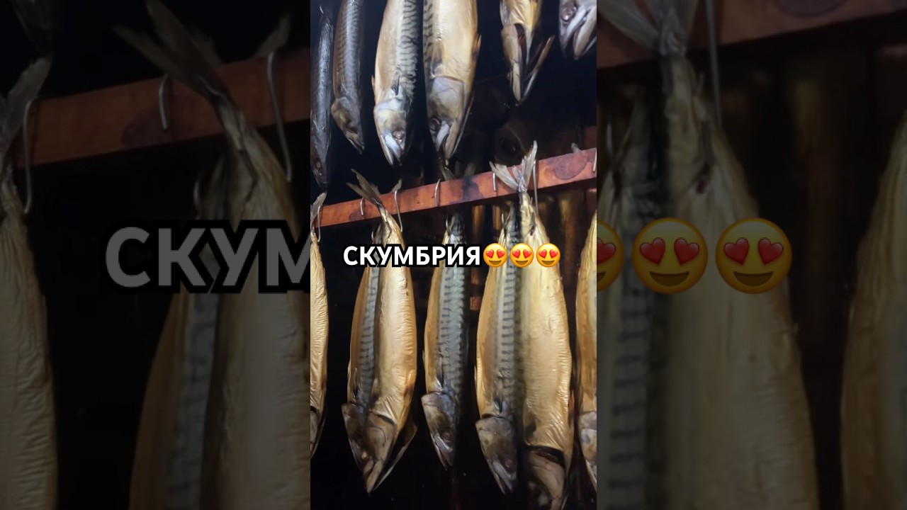 Сегодня закоптили, а завтра уже продаём! Та самая фарерская! вкусная скумбрия холодного копчения!