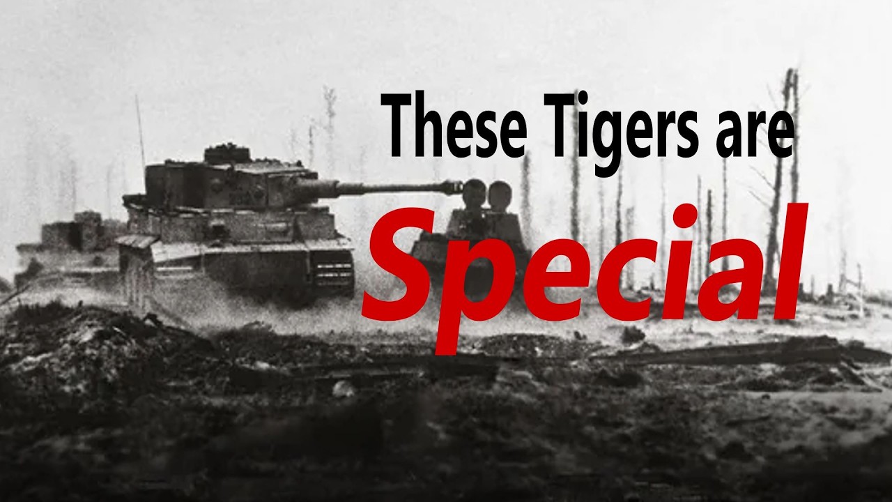 These Tigers are special