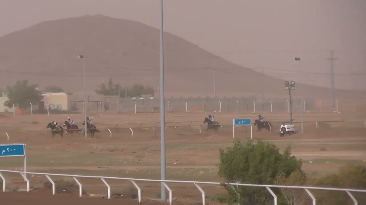 صقر الوادي الشوط الأول أمسية الدكتور مهيدب المهيدب لسباق الخيل اليوم الثاني موسم 1447هـ