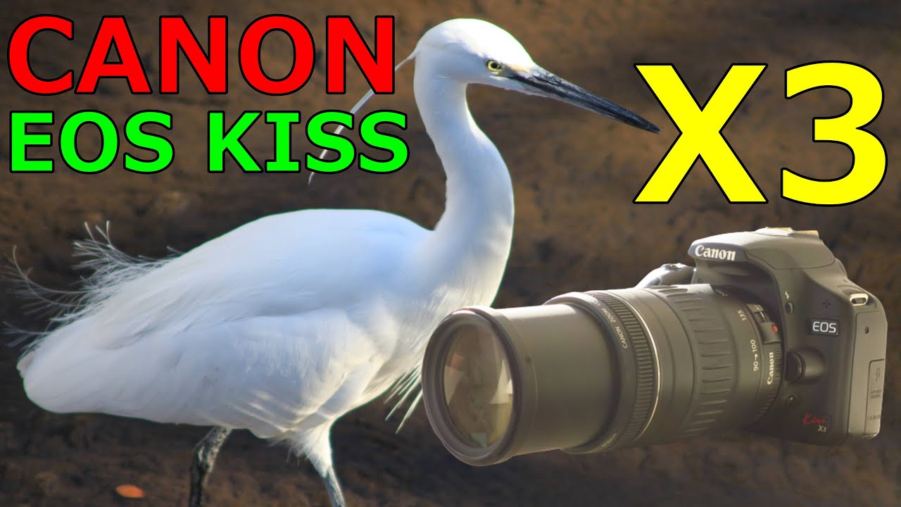 【ジャンク】3300円 CANON EOS KISS X3 動作確認・作例 動画撮影出来るようになった最初のキスデジ