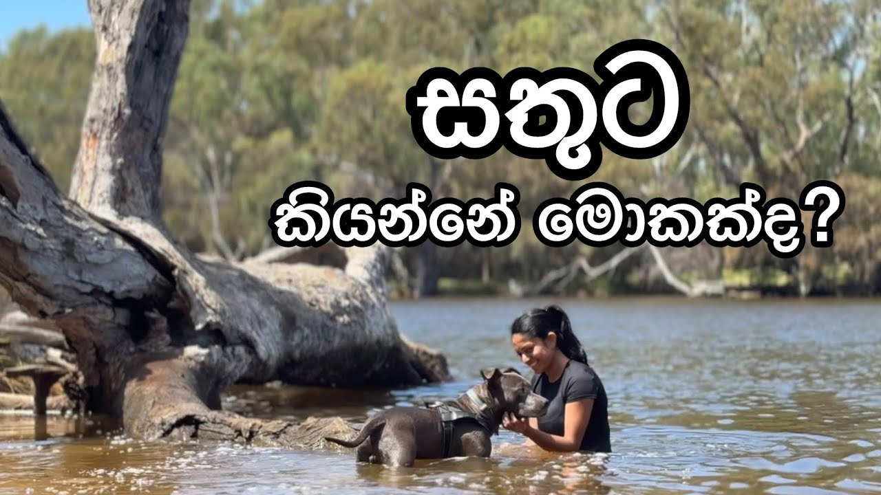 සතුට කියන්නේ මොකක්ද? Mental Health Day