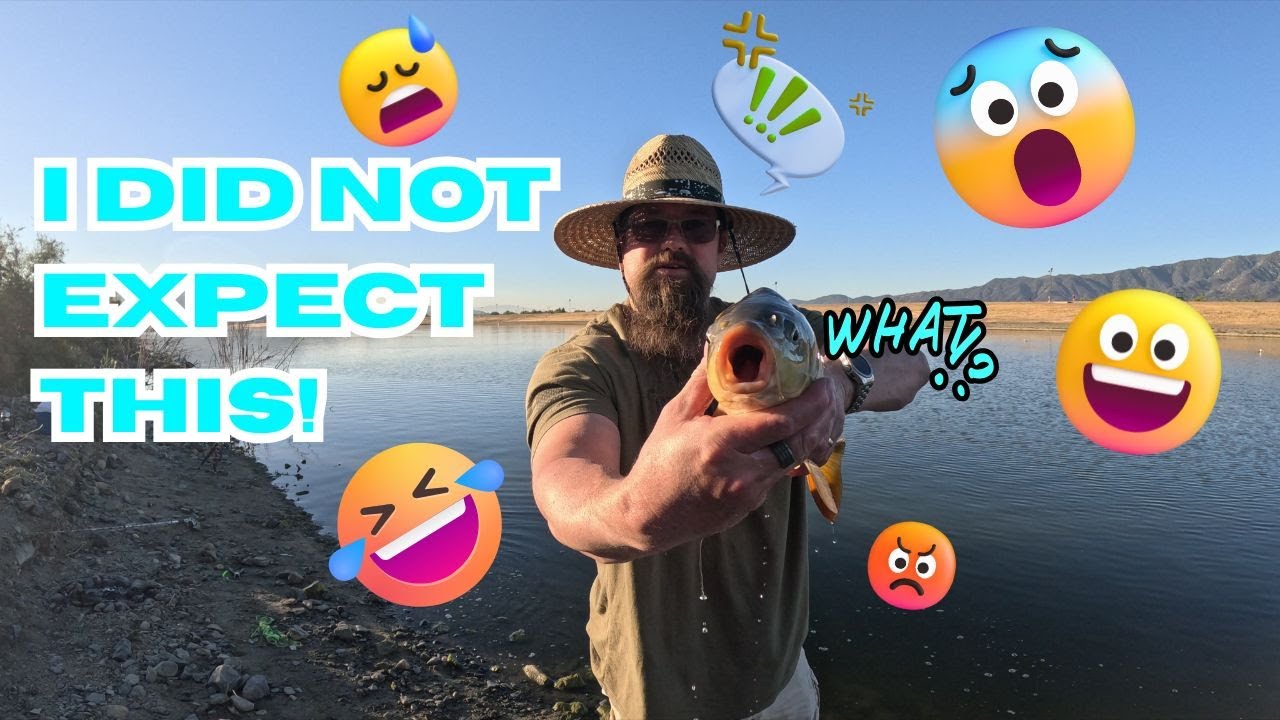The Dirty Side - Lake Elsinore - Fishing Report. Did they stock Catfish?