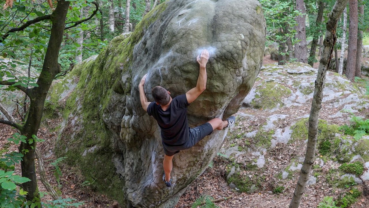 fontainebleau / summer 2021  (7a to 7b+)
